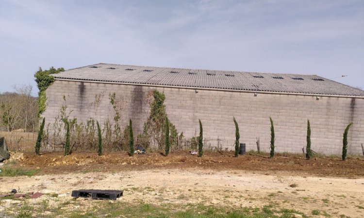 Plantation d'une haie de cyprès - Location de gîtes insolites et écologiques à Belvès en Dordogne